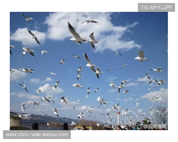 蜂军希望通过冲击力打乱海鸥节奏
